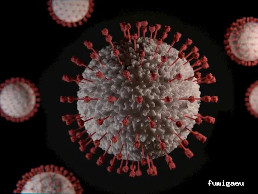 PLAGOO Gestión y Control de plagas