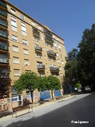 Desval - Desinsectaciones Valencia S.L.