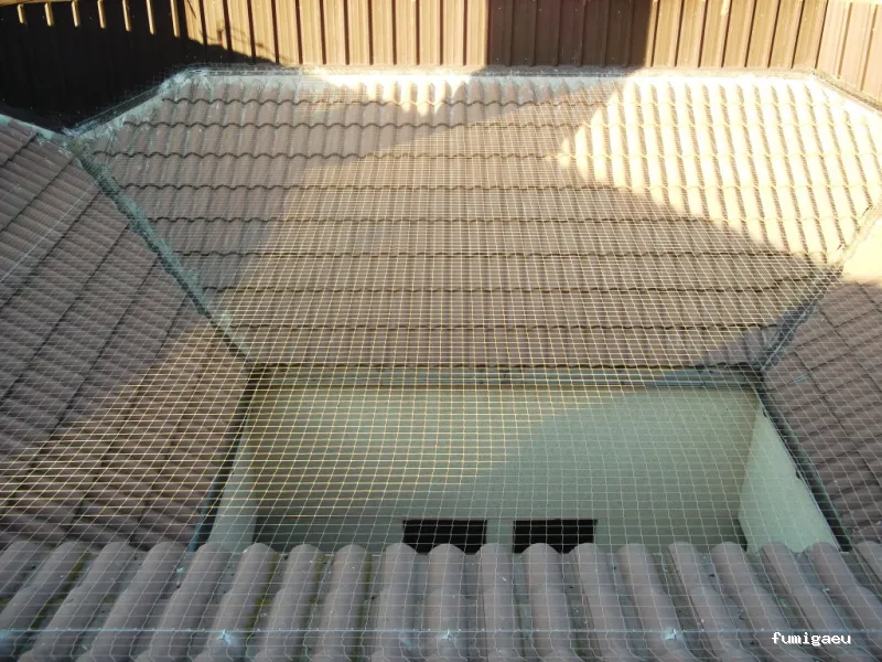 Servcontrol Control de Plagas