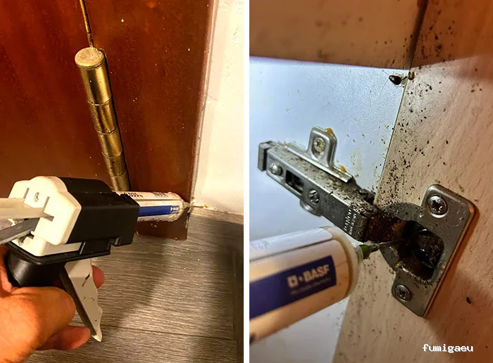 Expert Traitement SL