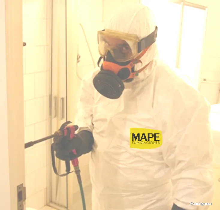Fumigaciones Mape servicios en Barcelona y toda Catalunya