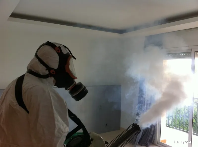 Fumigaciones Mape servicios en Barcelona y toda Catalunya
