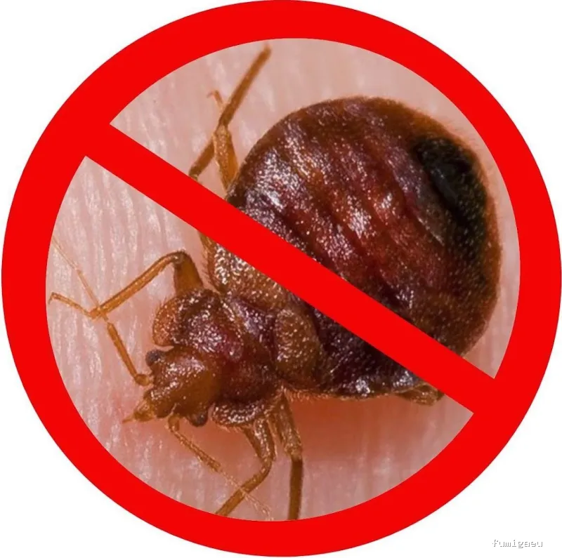 Fumigaciones Mape servicios en Barcelona y toda Catalunya