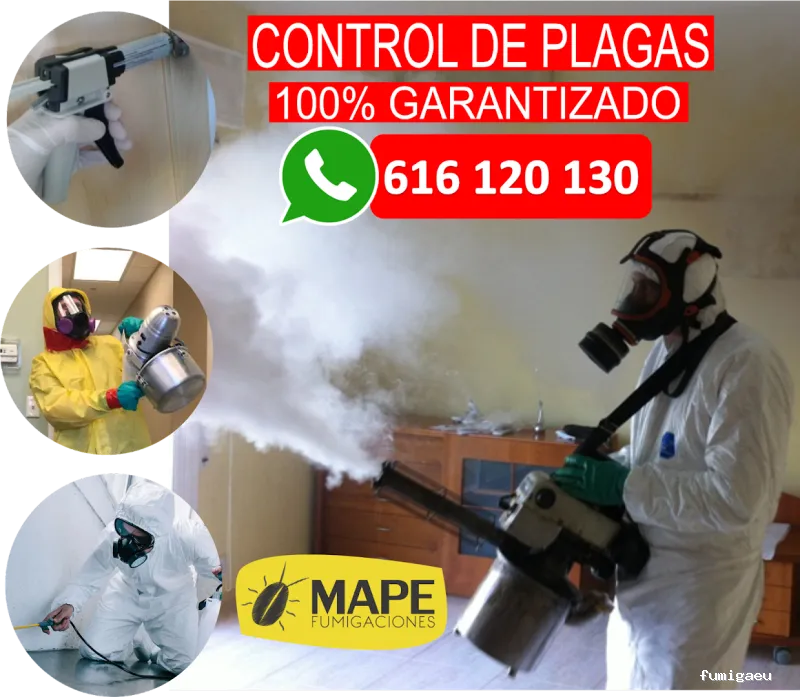 Fumigaciones Mape servicios en Barcelona y toda Catalunya