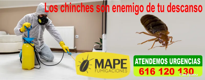 Fumigaciones Mape servicios en Barcelona y toda Catalunya
