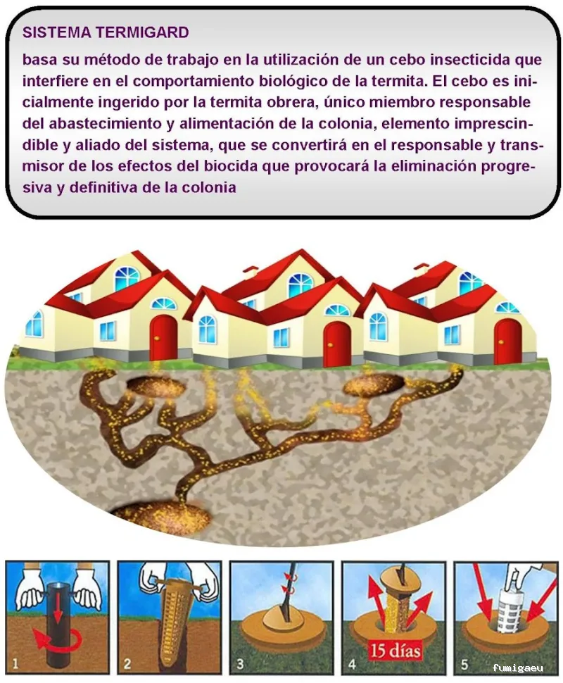 Fumigaciones Mape servicios en Barcelona y toda Catalunya