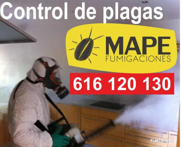 Fumigaciones Mape servicios en Barcelona y toda Catalunya