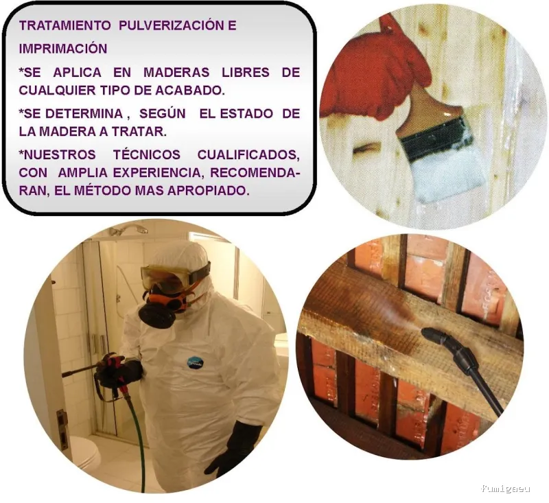 Fumigaciones Mape servicios en Barcelona y toda Catalunya