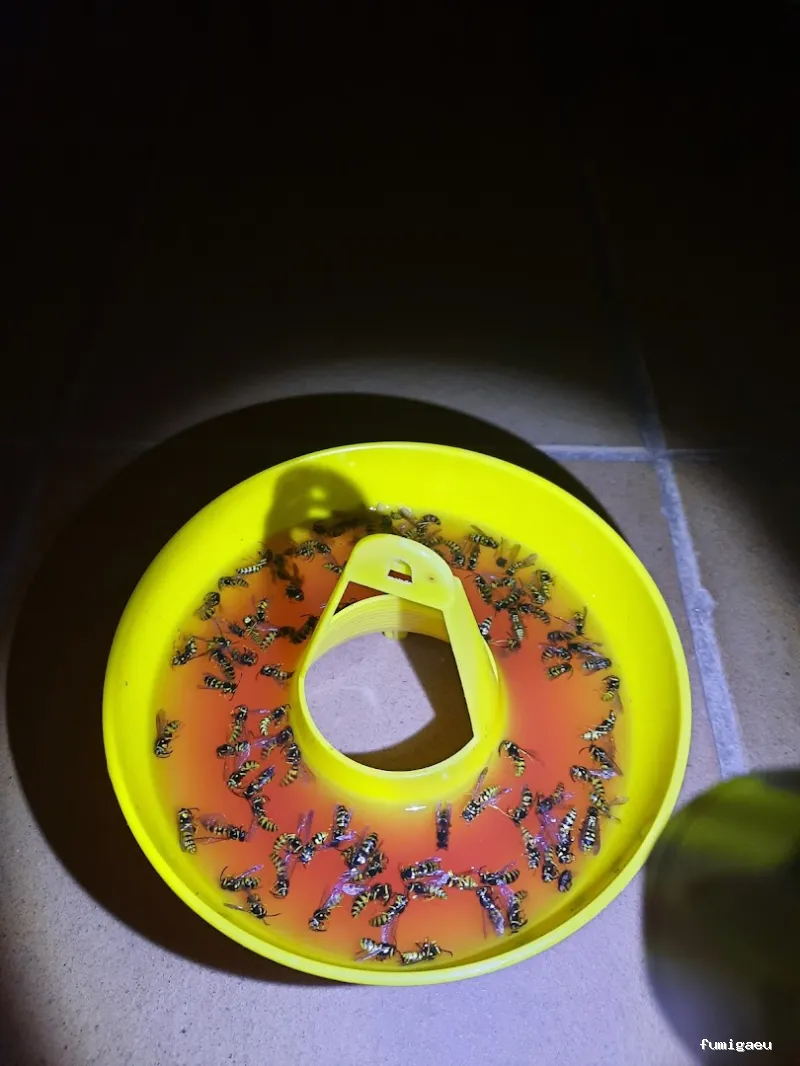 TRAMPLAGAS SALUD AMBIENTAL