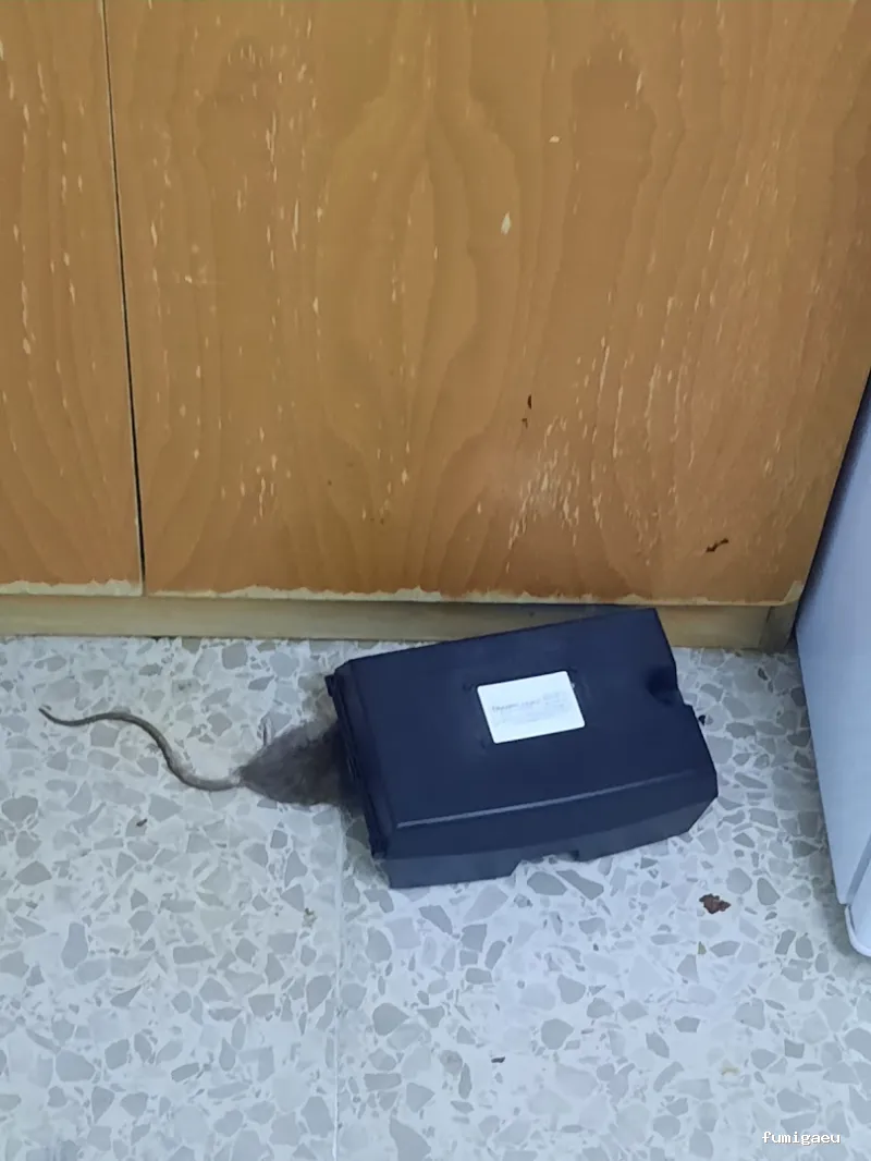 TRAMPLAGAS SALUD AMBIENTAL