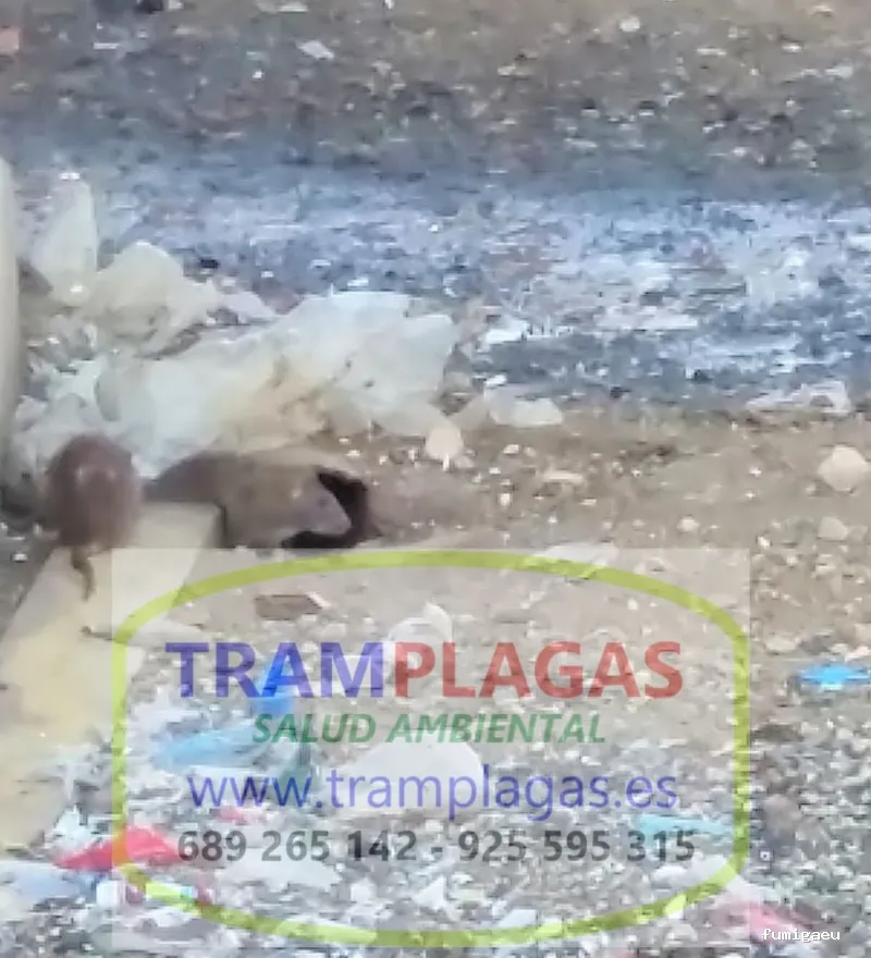 TRAMPLAGAS SALUD AMBIENTAL