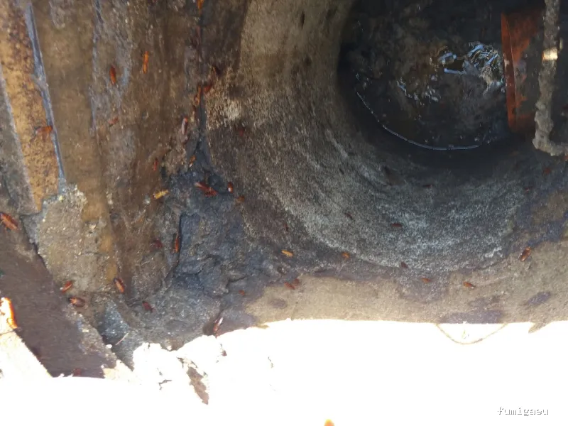 TRAMPLAGAS SALUD AMBIENTAL