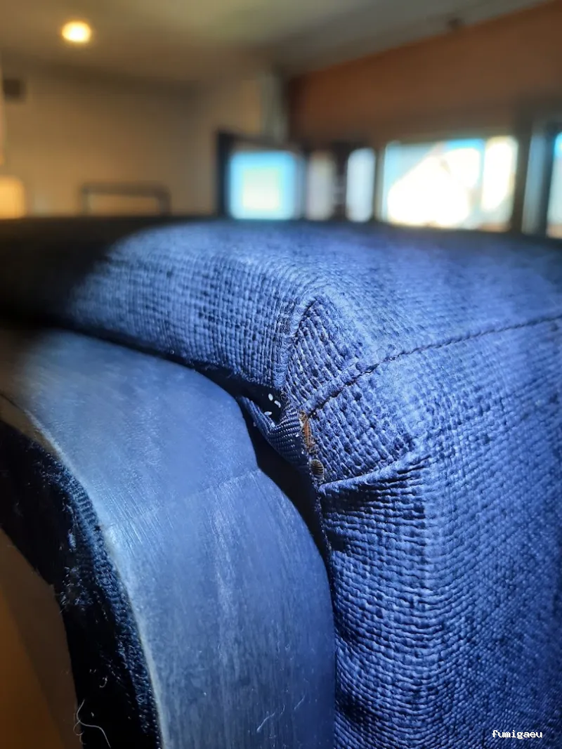 TRAMPLAGAS SALUD AMBIENTAL