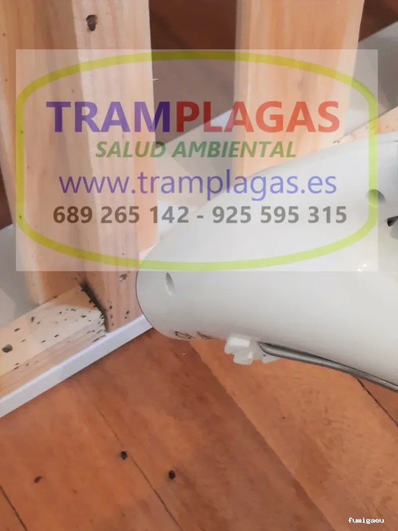 TRAMPLAGAS SALUD AMBIENTAL