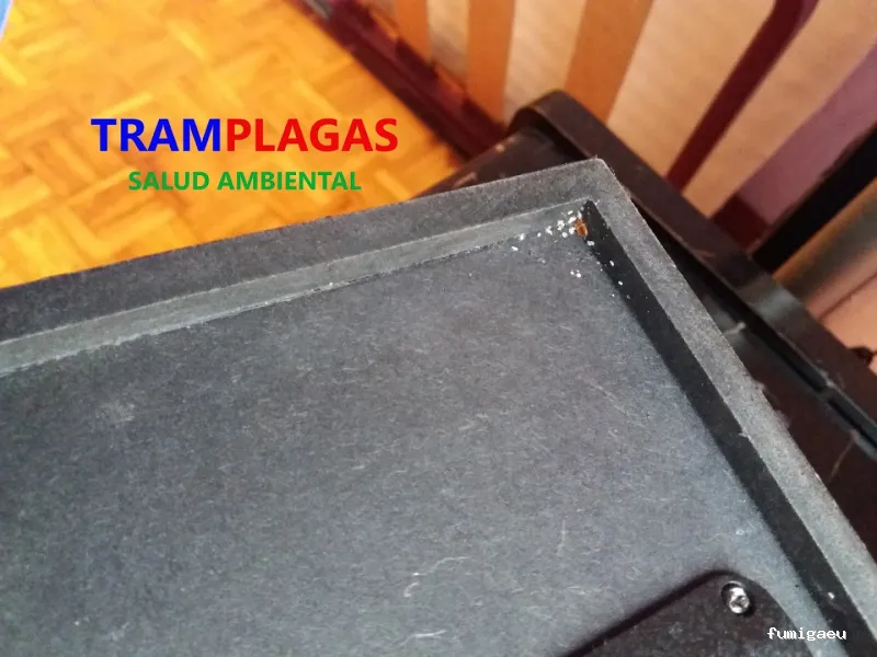 TRAMPLAGAS SALUD AMBIENTAL