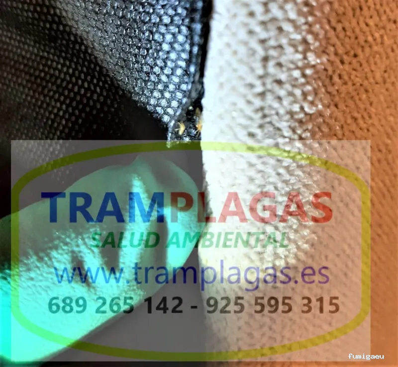 TRAMPLAGAS SALUD AMBIENTAL