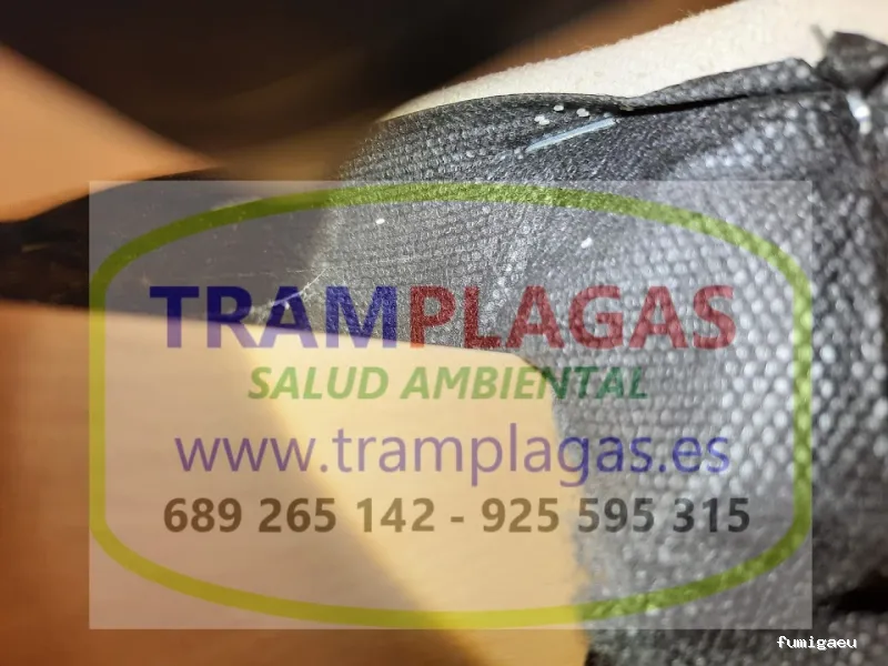 TRAMPLAGAS SALUD AMBIENTAL