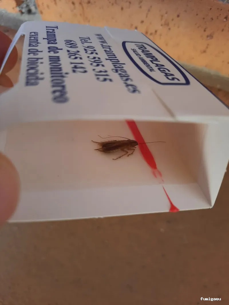 TRAMPLAGAS SALUD AMBIENTAL