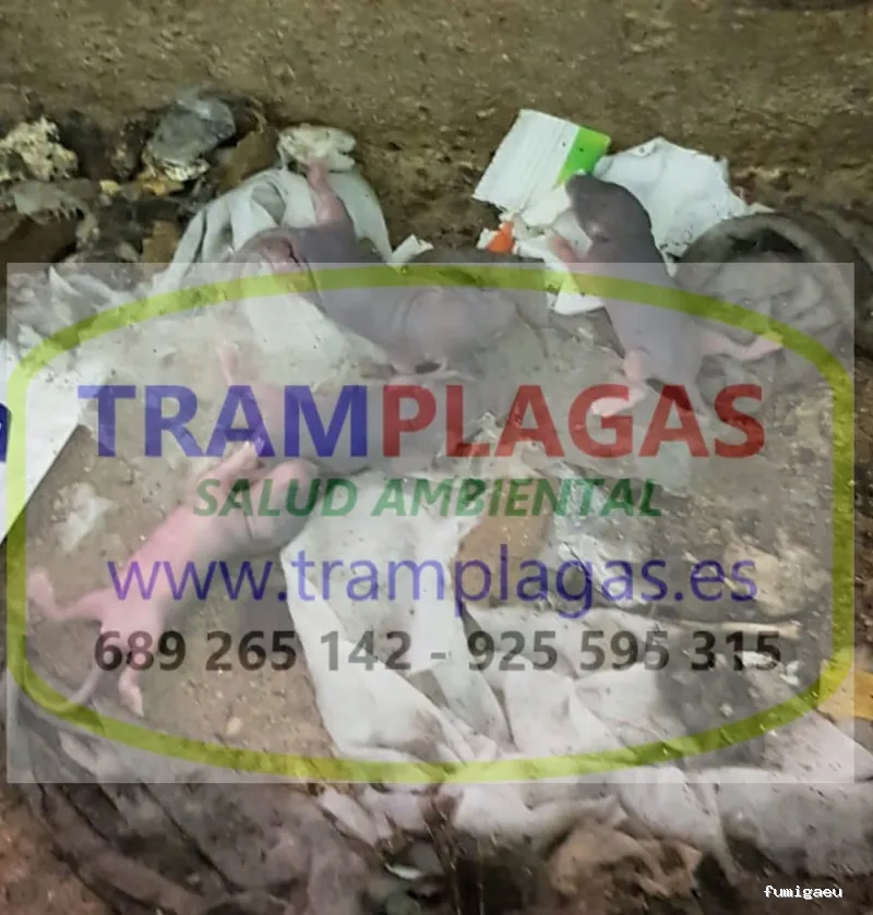 TRAMPLAGAS SALUD AMBIENTAL
