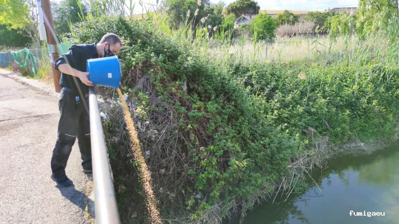 Control de Plagas y Desratizaciones Lasher España