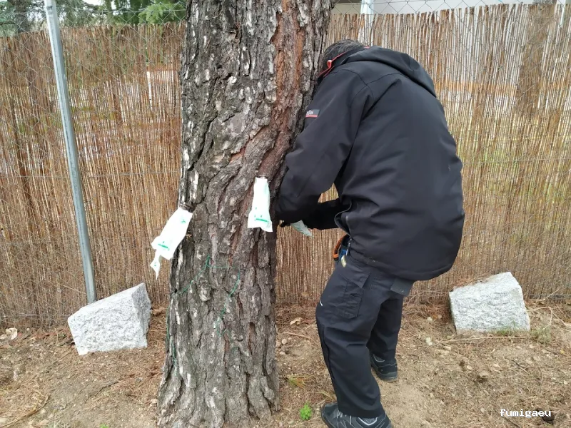 Control de Plagas y Desratizaciones Lasher España