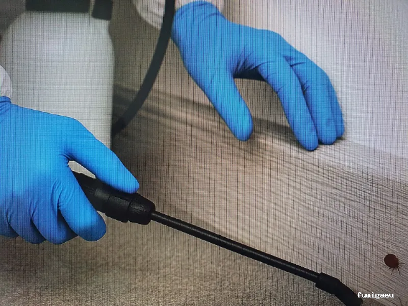 Alvi Control Integral Plagas