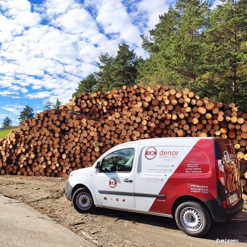 Denor Control de Plagas