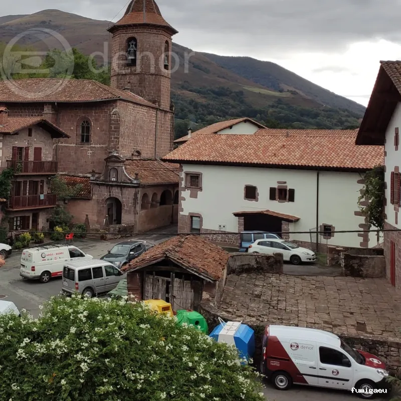 Denor Control de Plagas