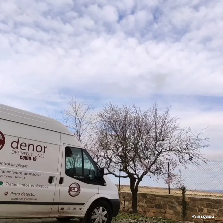 Denor Control de Plagas