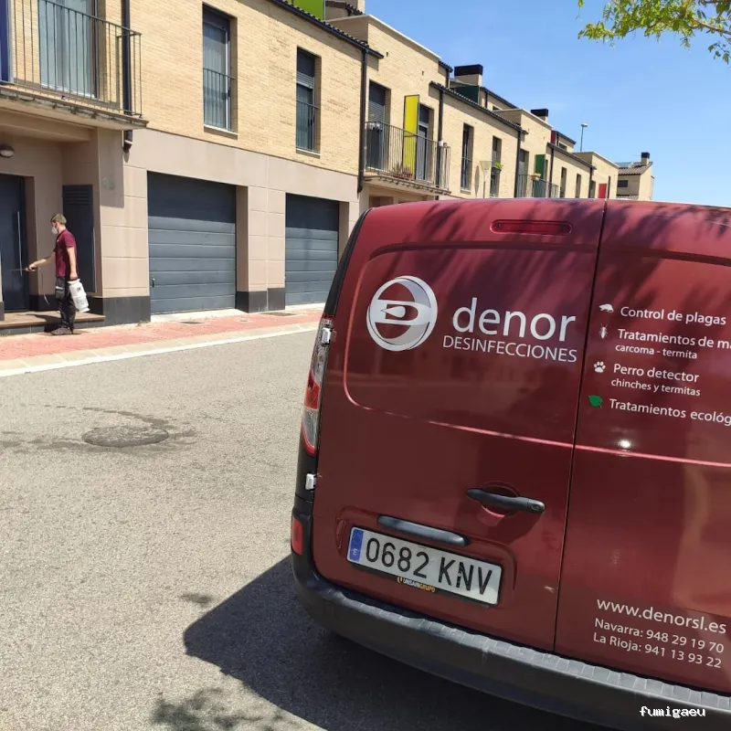 Denor Control de Plagas