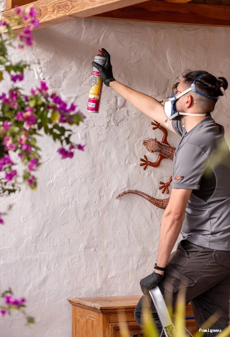 Goldservice Control de plagas en Ibiza