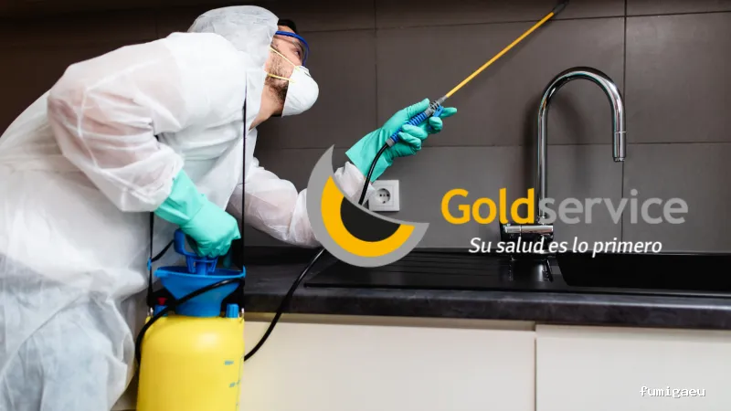 Goldservice Control de plagas en Ibiza