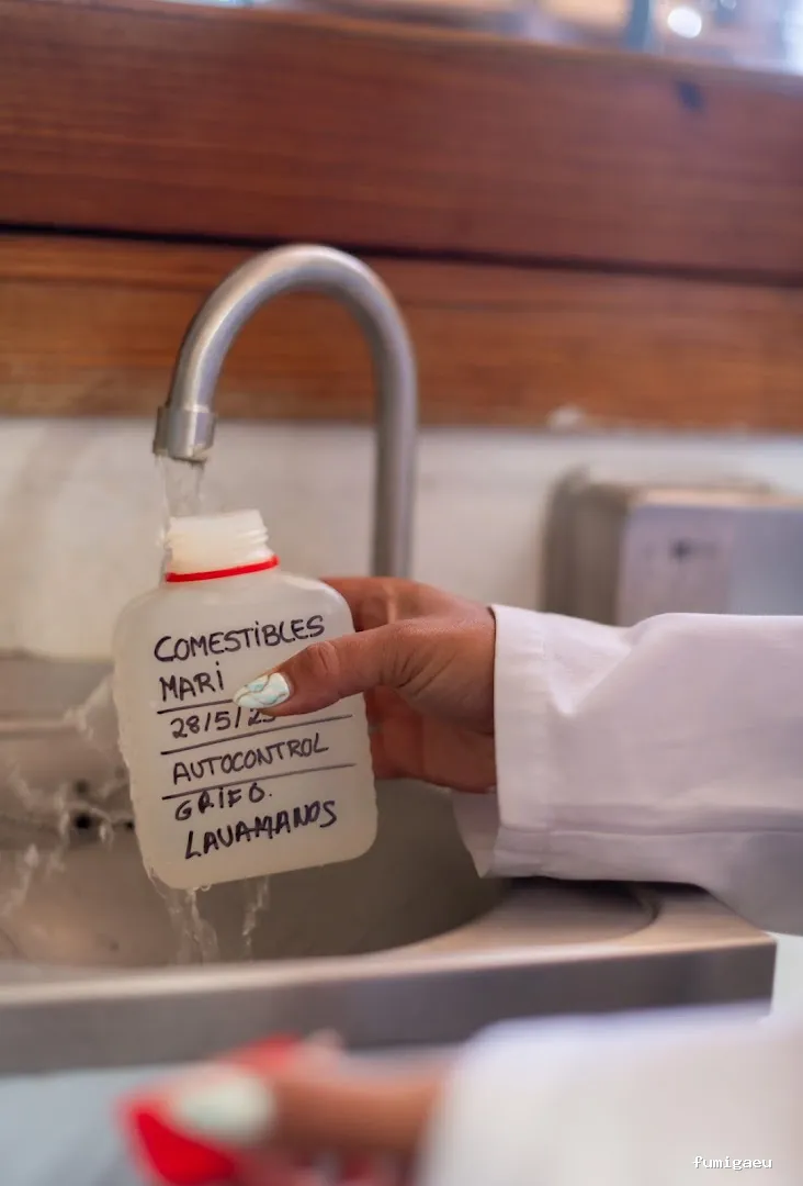 Goldservice Control de plagas en Ibiza