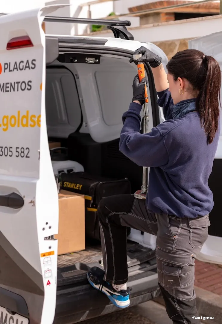 Goldservice Control de plagas en Ibiza