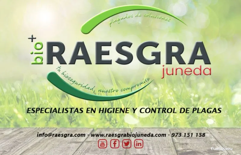 RAESGRA, S.L.