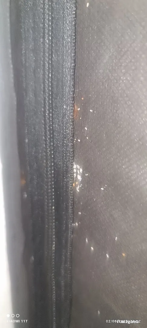 Control de Plaga Madrid - FUMIGAYA - Eliminacion de chinches en Madrid