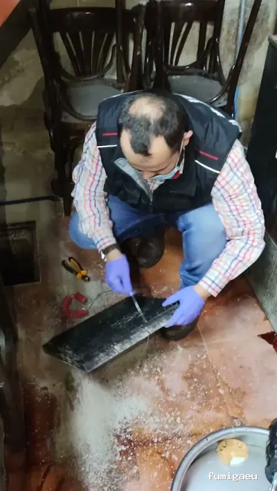 Control de Plaga Madrid - FUMIGAYA - Eliminacion de chinches en Madrid