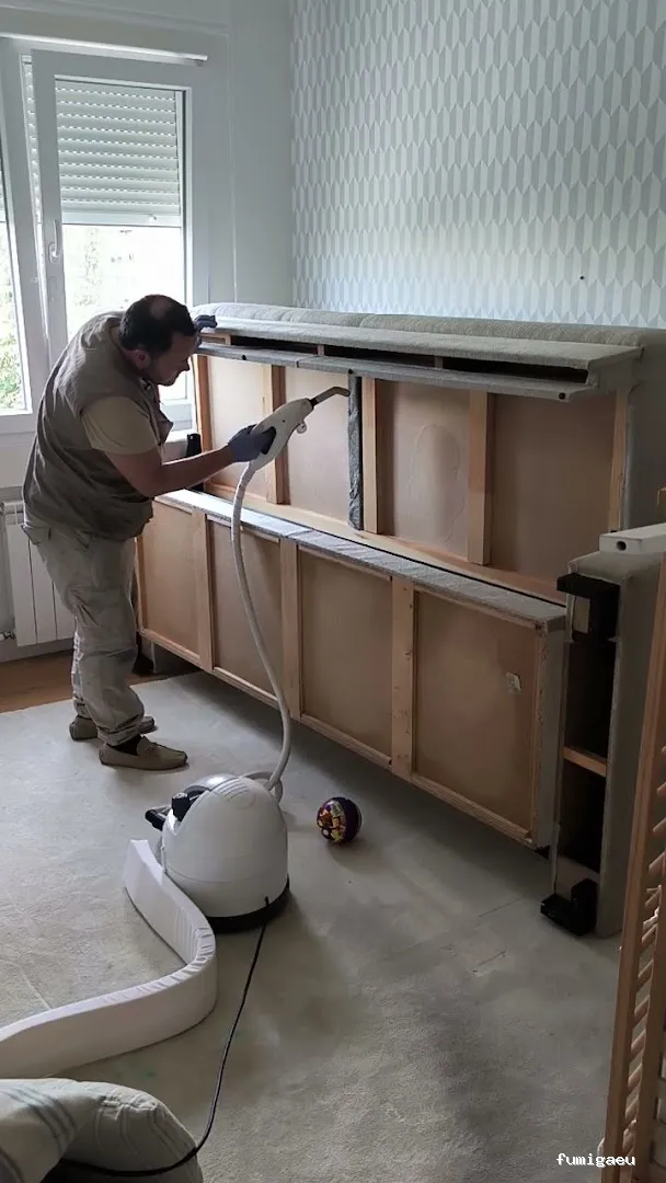 Control de Plaga Madrid - FUMIGAYA - Eliminacion de chinches en Madrid