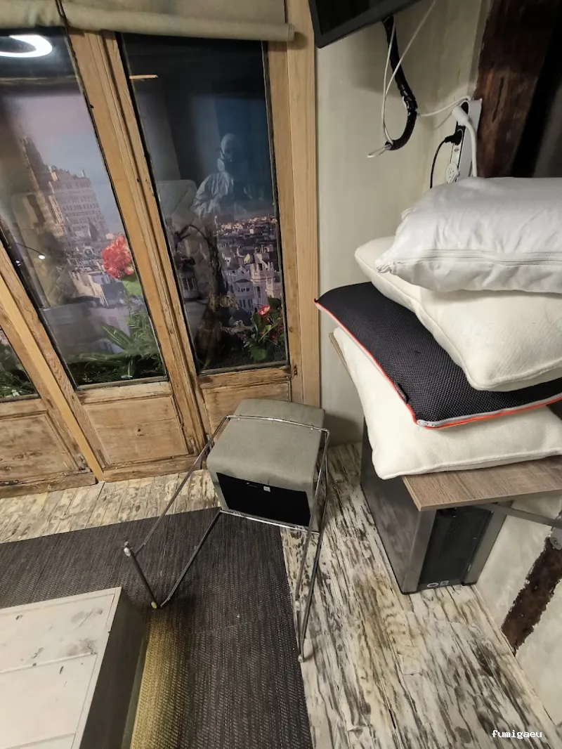 Control de Plaga Madrid - FUMIGAYA - Eliminacion de chinches en Madrid