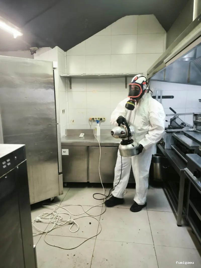 Control de Plaga Madrid - FUMIGAYA - Eliminacion de chinches en Madrid