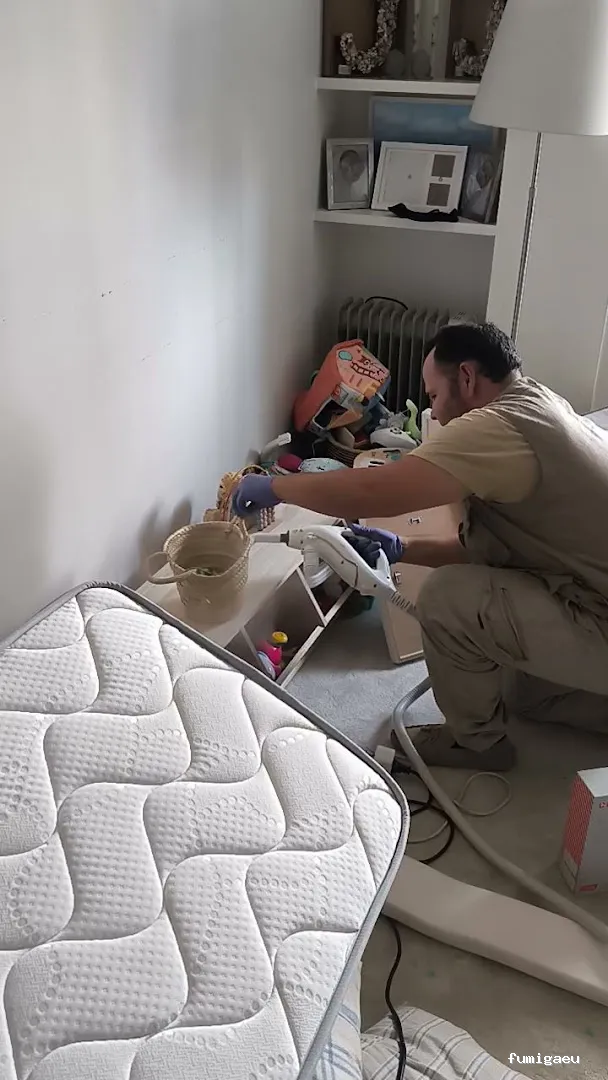 Control de Plaga Madrid - FUMIGAYA - Eliminacion de chinches en Madrid