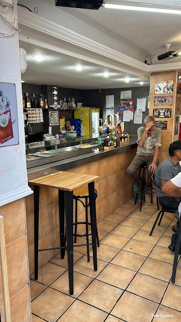 Control de Plaga Madrid - FUMIGAYA - Eliminacion de chinches en Madrid