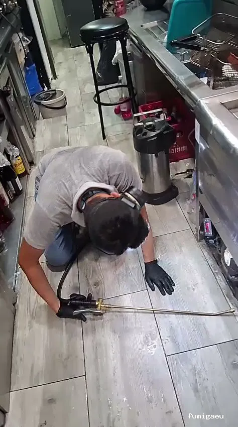 Control de Plaga Madrid - FUMIGAYA - Eliminacion de chinches en Madrid