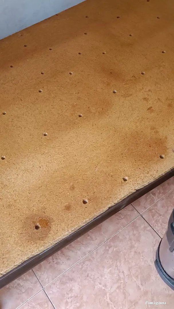 Control de Plaga Madrid - FUMIGAYA - Eliminacion de chinches en Madrid