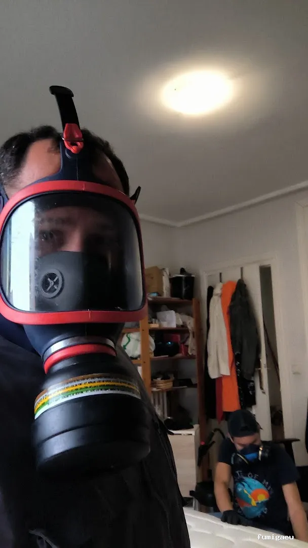 Control de Plaga Madrid - FUMIGAYA - Eliminacion de chinches en Madrid