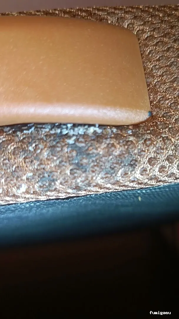 Control de Plaga Madrid - FUMIGAYA - Eliminacion de chinches en Madrid