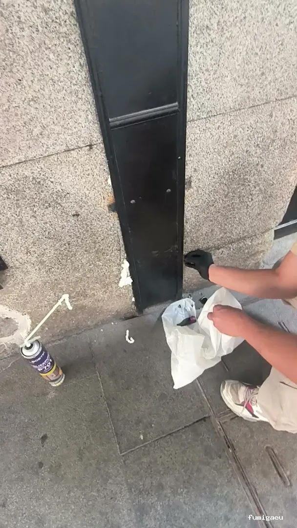 Control de Plaga Madrid - FUMIGAYA - Eliminacion de chinches en Madrid