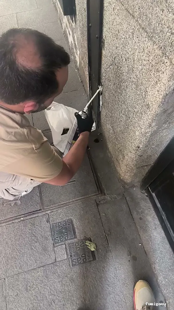 Control de Plaga Madrid - FUMIGAYA - Eliminacion de chinches en Madrid