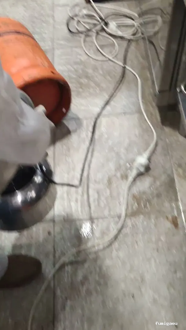 Control de Plaga Madrid - FUMIGAYA - Eliminacion de chinches en Madrid