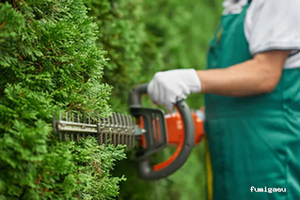 Empresa de limpieza en Sevilla ➡️ Limpiezas Castro Real S.L.